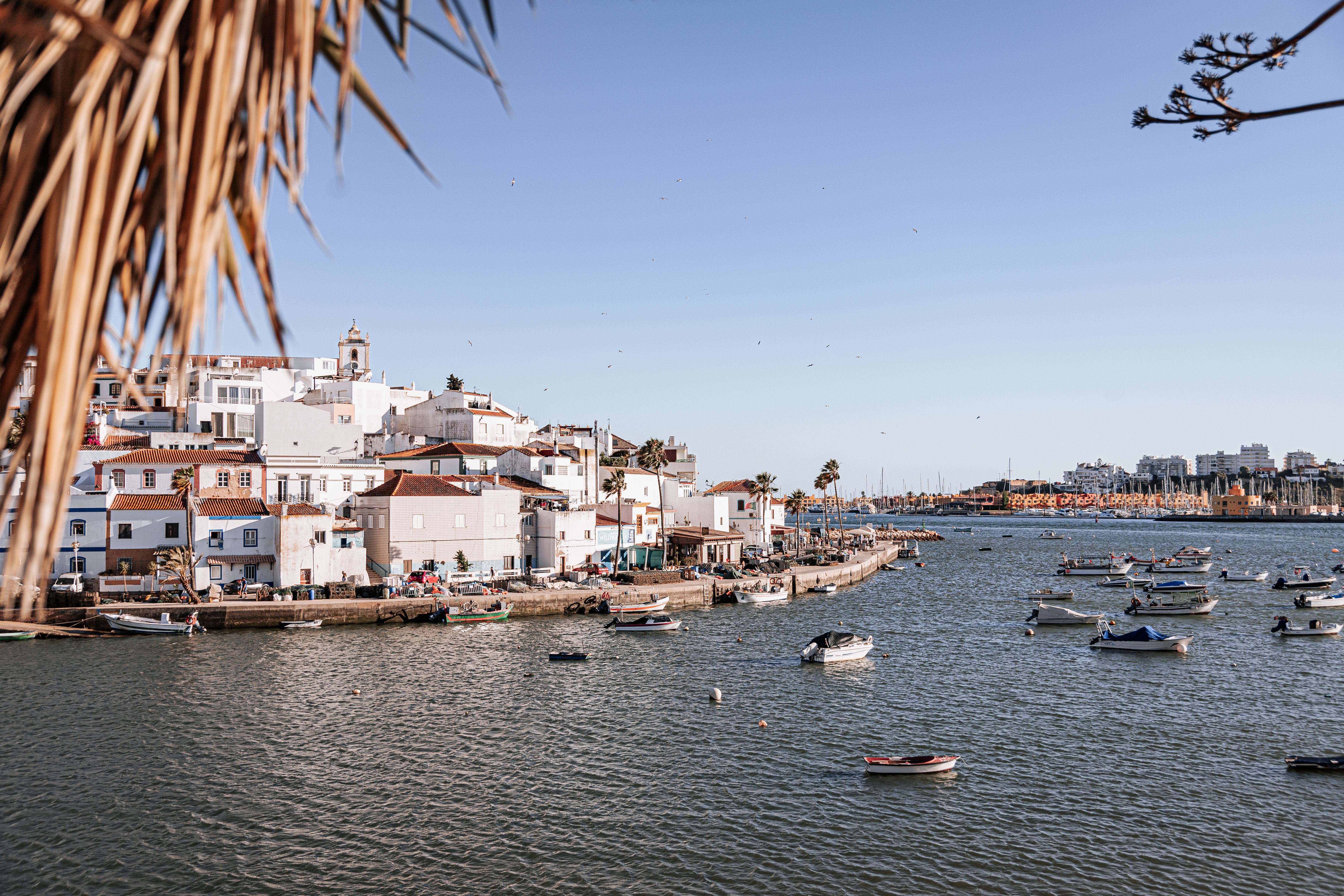 Porto de pesca no Algarve, Portugal